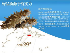 O2O引爆海参销售 网络营销干货全解析