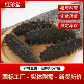 海参与盐干海参 品味海洋的精华