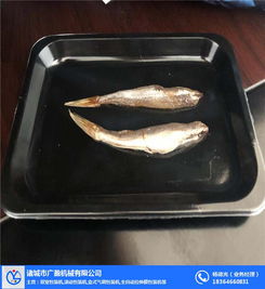重庆海参贴体机 诸城广盈机械公司打造专业海参保鲜解决方案