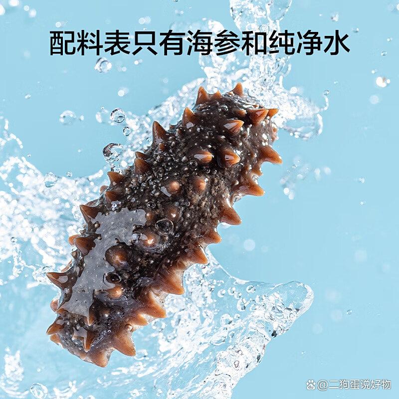 即食海参排名前十品牌揭晓这10款海参,品质卓越,营养满分!